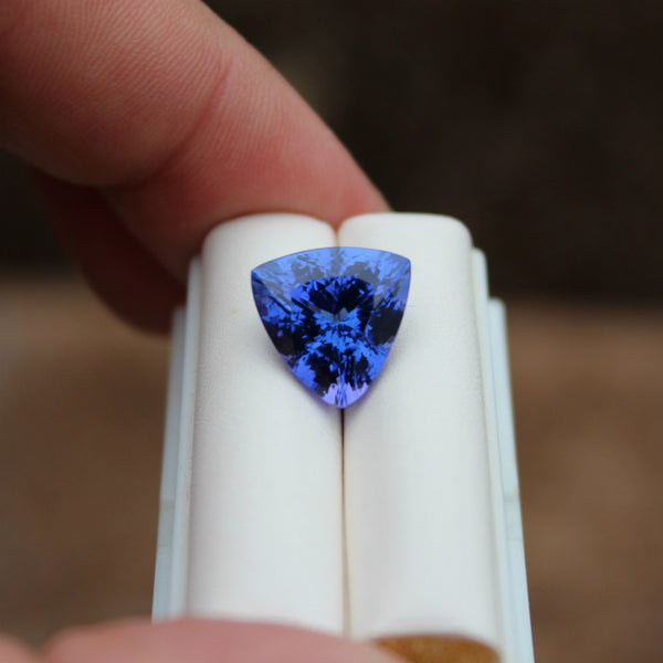 Tanzanite Gemstone - 7.32 cts. Trillion - Amazon Imports, Inc. - Fine Quality Gemstones and Jewelry Since 1978