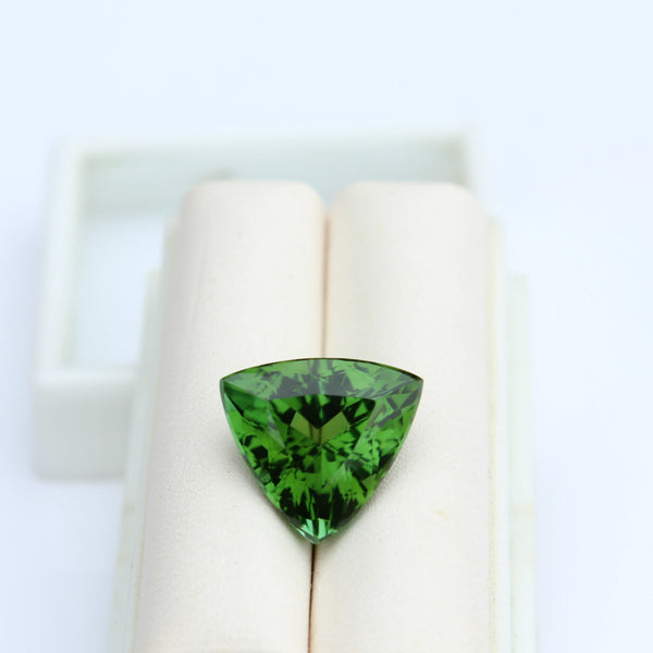 Green Tourmaline Gemstone - 6.15 cts. Trillion - Amazon Imports, Inc. - Fine Quality Gemstones and Jewelry Since 1978