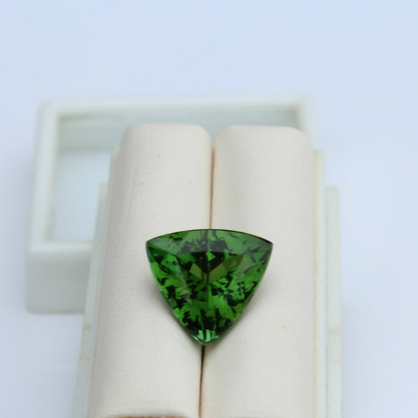 Green Tourmaline Gemstone - 6.15 cts. Trillion - Amazon Imports, Inc. - Fine Quality Gemstones and Jewelry Since 1978