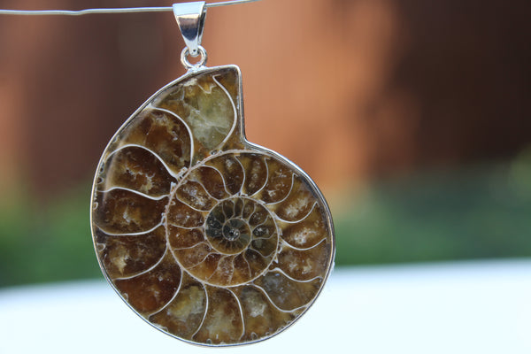 Large Ammonite Fossil Pendant - Amazon Imports, Inc. - Fine Quality Gemstones and Jewelry Since 1978
