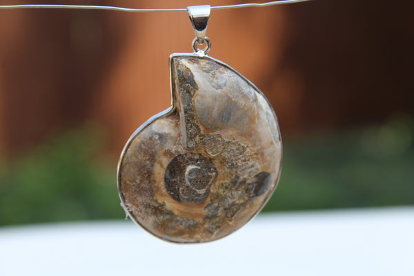 Large Ammonite Fossil Pendant - Amazon Imports, Inc. - Fine Quality Gemstones and Jewelry Since 1978