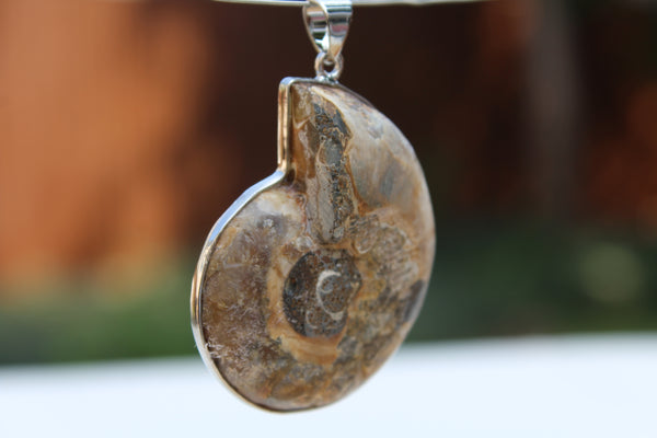 Large Ammonite Fossil Pendant - Amazon Imports, Inc. - Fine Quality Gemstones and Jewelry Since 1978