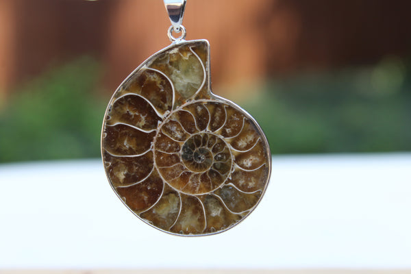 Large Ammonite Fossil Pendant - Amazon Imports, Inc. - Fine Quality Gemstones and Jewelry Since 1978