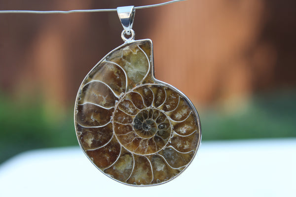 Large Ammonite Fossil Pendant - Amazon Imports, Inc. - Fine Quality Gemstones and Jewelry Since 1978