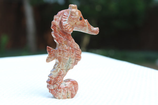 Sea Horse Soapstone Animal Carving - Amazon Imports, Inc. - Fine Quality Gemstones and Jewelry Since 1978