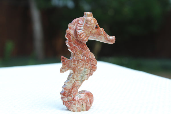 Sea Horse Soapstone Animal Carving - Amazon Imports, Inc. - Fine Quality Gemstones and Jewelry Since 1978