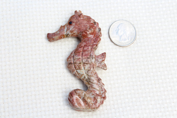 Sea Horse Soapstone Animal Carving - Amazon Imports, Inc. - Fine Quality Gemstones and Jewelry Since 1978