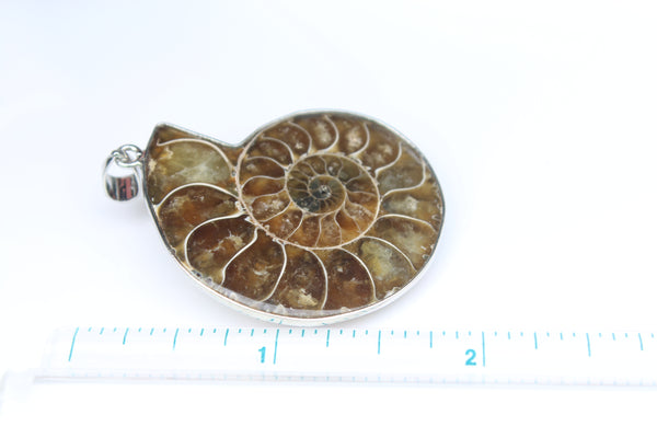Large Ammonite Fossil Pendant - Amazon Imports, Inc. - Fine Quality Gemstones and Jewelry Since 1978
