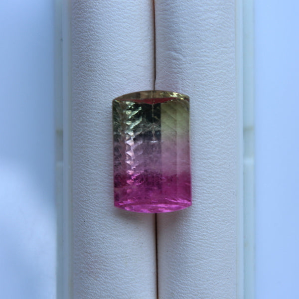 Tri Color Tourmaline Gemstone  -  8.96 cts.  Emerald Cut - Amazon Imports, Inc. - Fine Quality Gemstones and Jewelry Since 1978